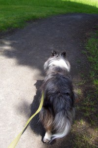 IndyEndofleash051715